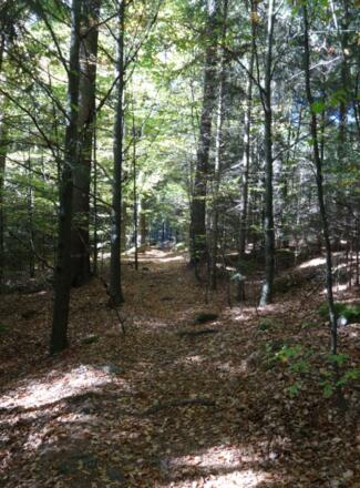 Aufstieg auf den Schwarzwihrberg