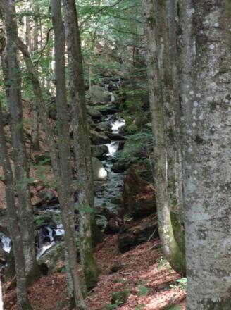 Höllbachtal