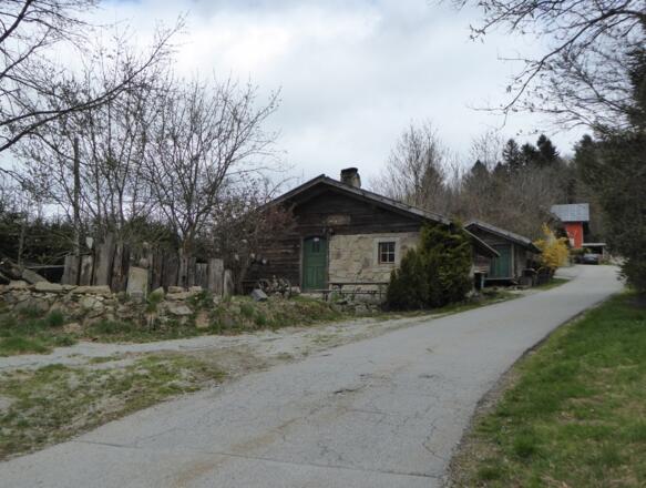 Oberneureutherwald