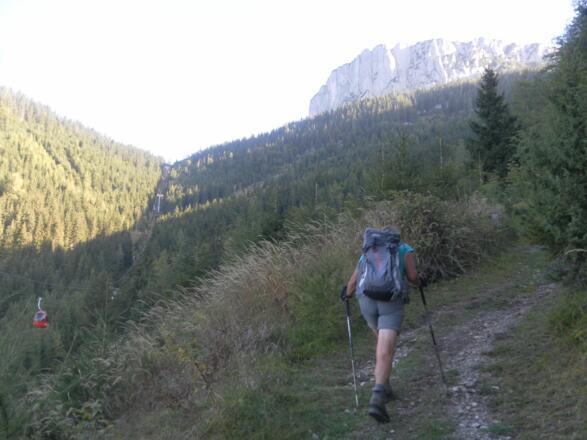 am Grünwaldsteig