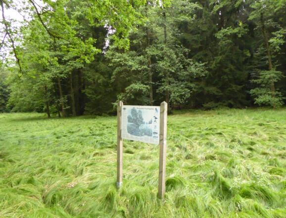 Hinweistafeln erklären die Wiesen