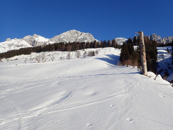 Start oberhalb der B 164