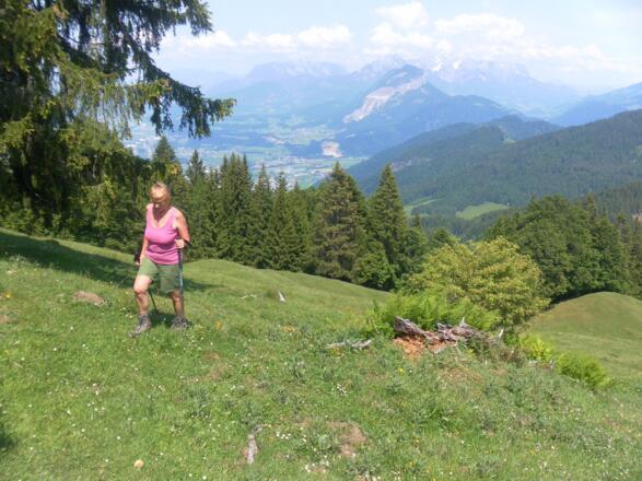 Gipfelwiese