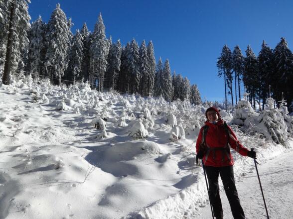 Winter-Wonderland