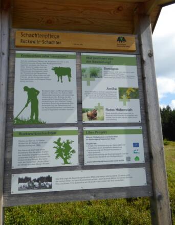 Ruckowitzschachten