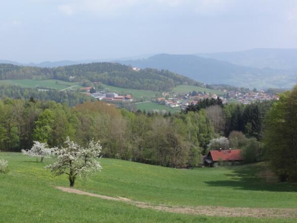 Blick auf Pilgramsberg