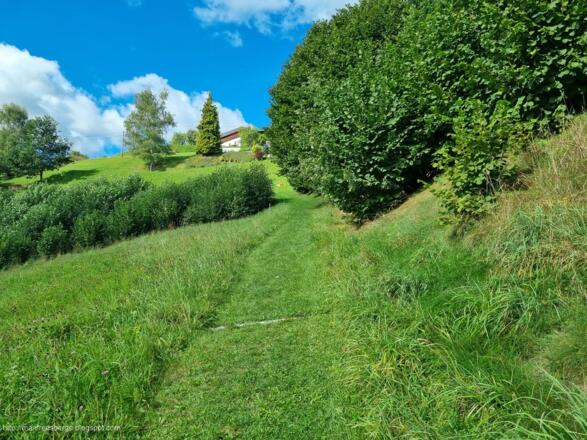 Der Wanderweg extra gemäht