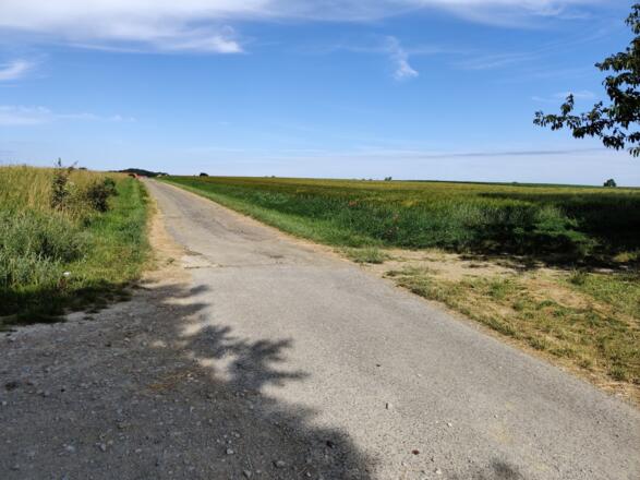 Naturpark Frankenhöhe bei Leuzenbronn