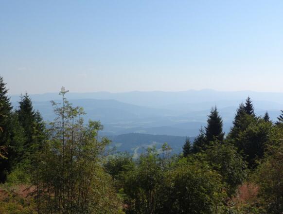 Blick vom Pröller in den Bayer. Wald