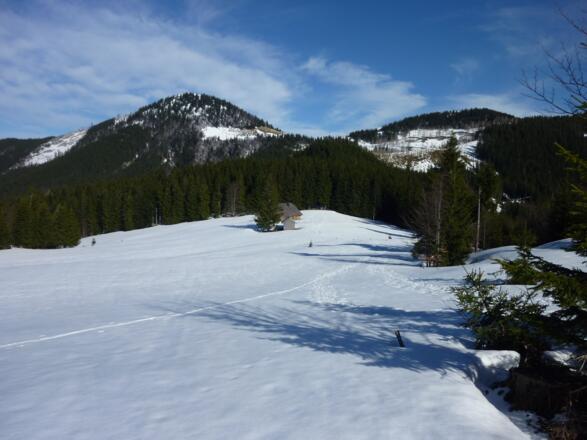 Stegeralm mit Faistenauer Schafberg und Loibersbacher Höhe