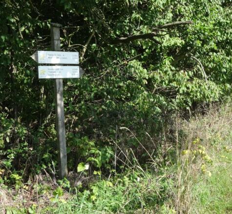 Goldsteigmarkierung kurz nach Neustadt