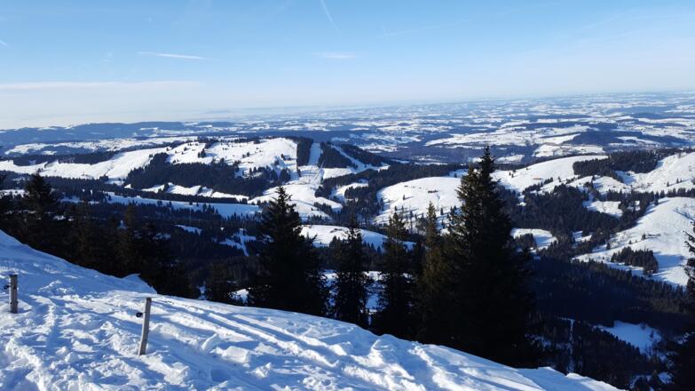 Blick vom Seelekopf Richtung Bodensee