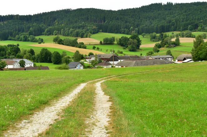 Mardetschlag in Sichtweite