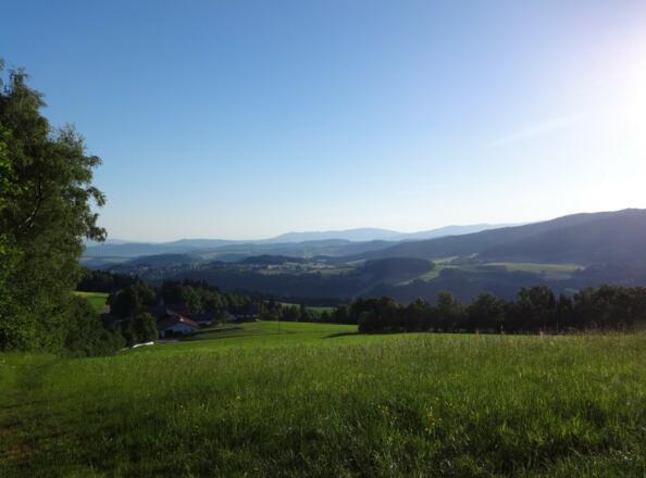 Blick vom Sicklasberg