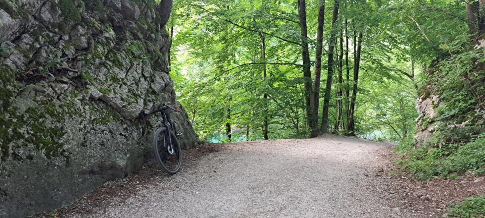 Am anregenden Radweg neben der Königsseeache...
