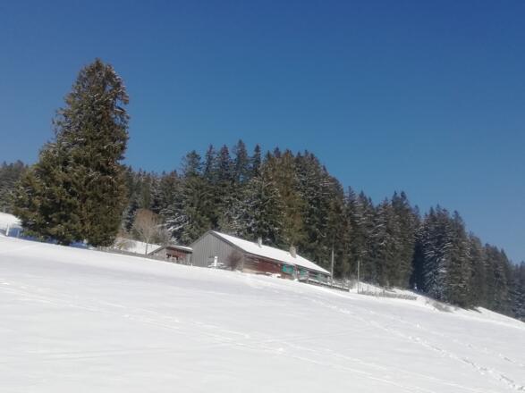 Bergbauernmuseum Höfle-Alpe
