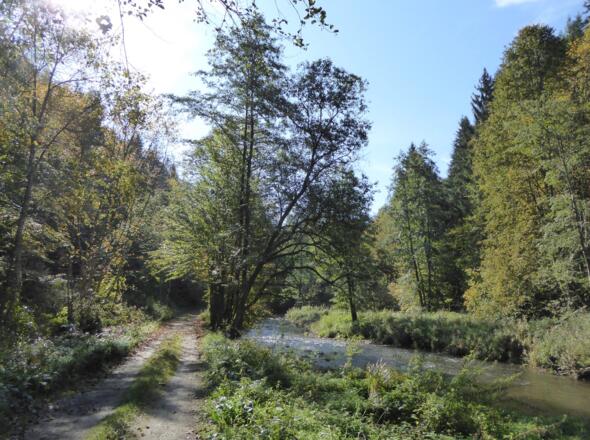 am Staffelbach entlang