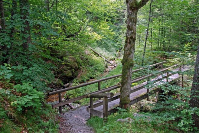 Auf dem Weg zur Reiteralm