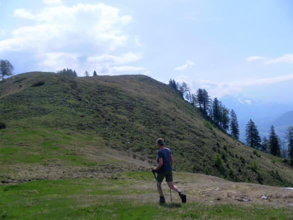 Alpbichl