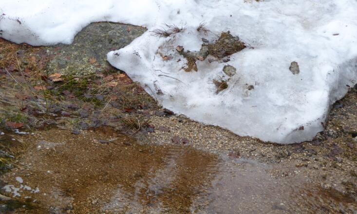 Gletscher am Dreisessel :-)