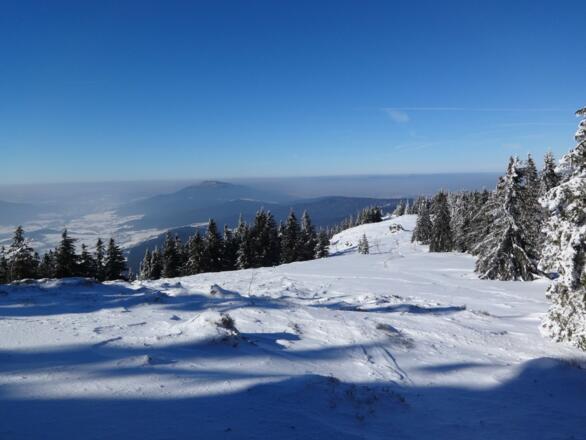 Blick auf die Osserwiese