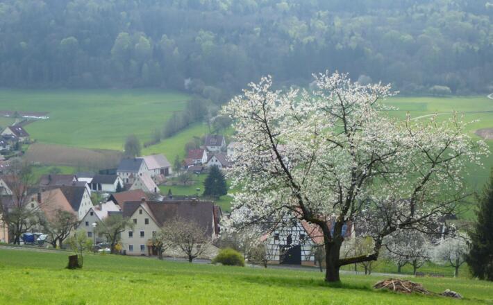 Blick auf Kainsbach