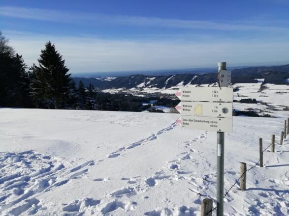 Hauchenberg Aussichtswarte Alpkönigblick