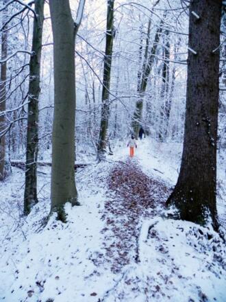 Auf dem Wall der Keltenschanze