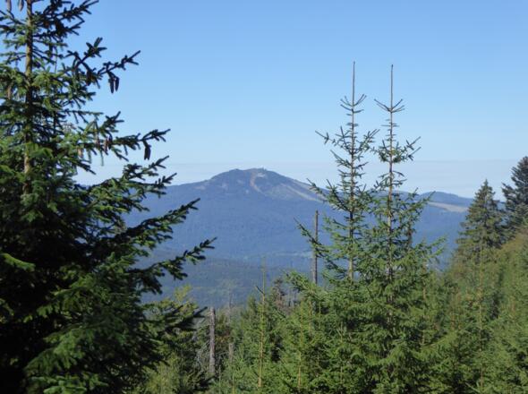 Blick auf den Großen Arber