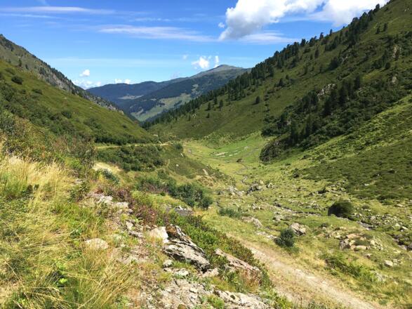 Hat man die Grafennsalm hinter sich gelassen wird der Güterweg steiler und die Landschaft ausgesprochen ursprünglich.