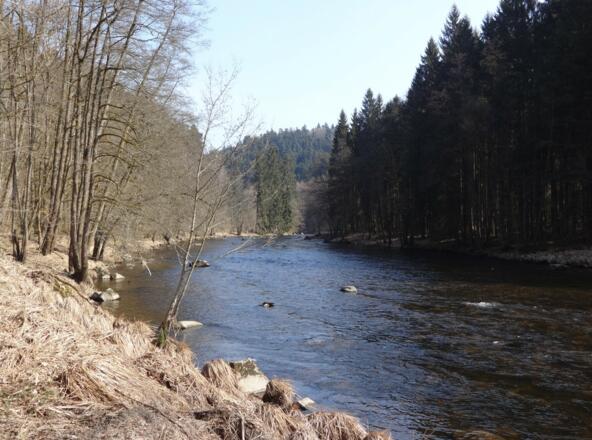 Blick auf die Ilz