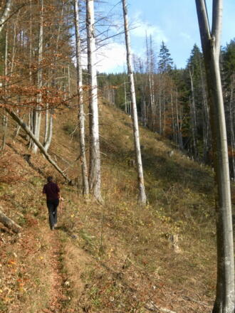 Graben über der Ailphütte