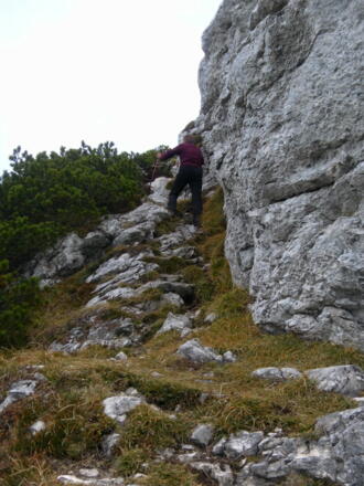 Gipfelschrofen der Bauernwand