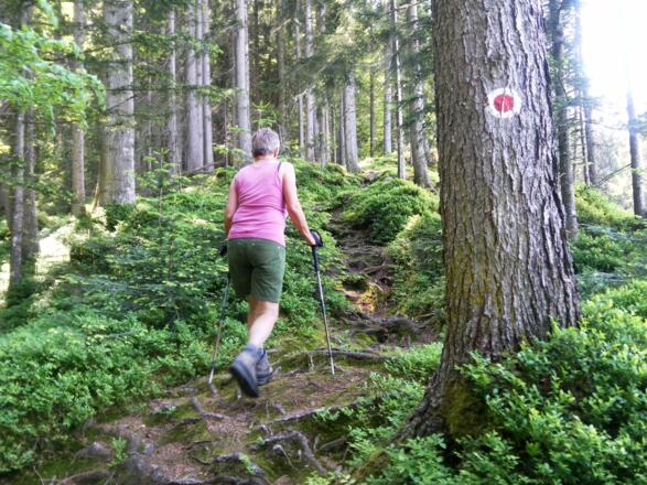 Ostanstieg zum Kragenjoch