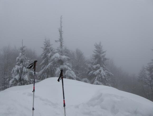 &quot;Aussicht&quot; am Rauhen Kulm