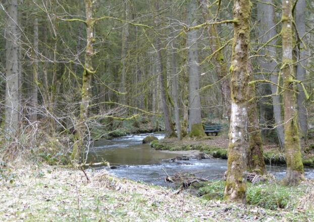 Erlebnispfad Perlbachtal