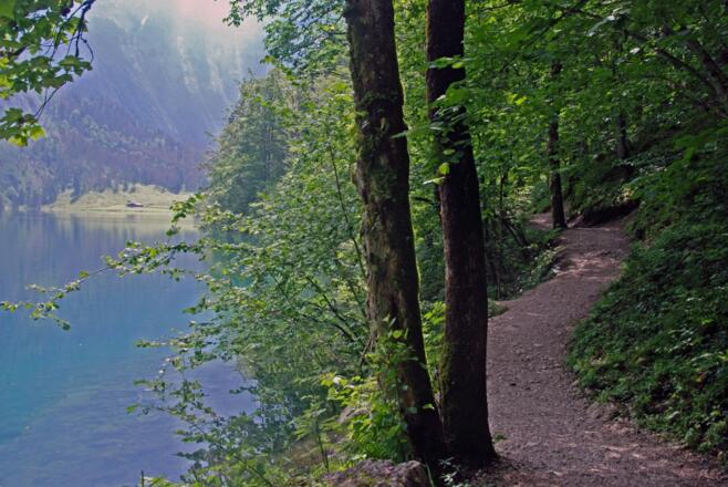 Auf dem Weg zur Fischunkelalm