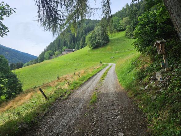 Weg zum Volderwildbad