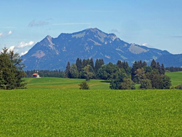 Blick zum Grünten