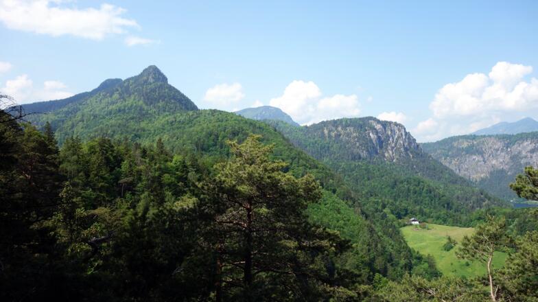 Blick zum Pflasterbachhörndl 1270m, re. dahinter Rabensteinhorn