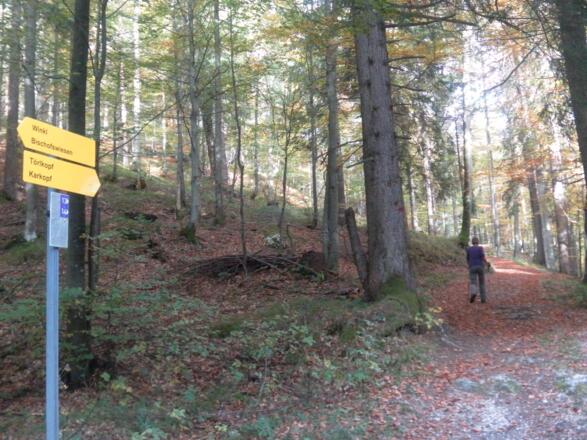 Abzweig vom Saurüssel Güterweg