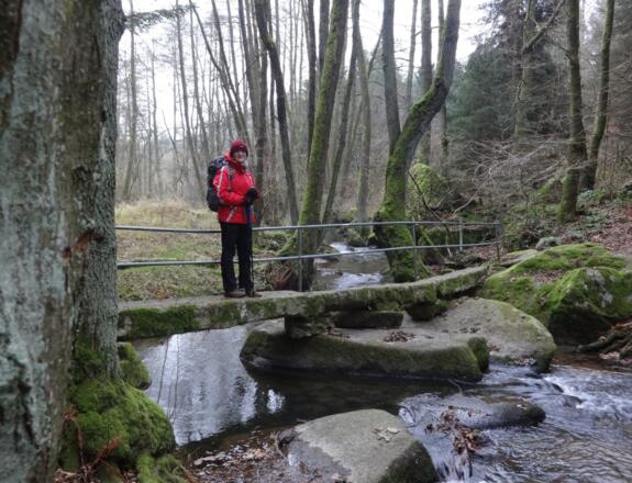 Schafsteg über die Wolfslohklamm