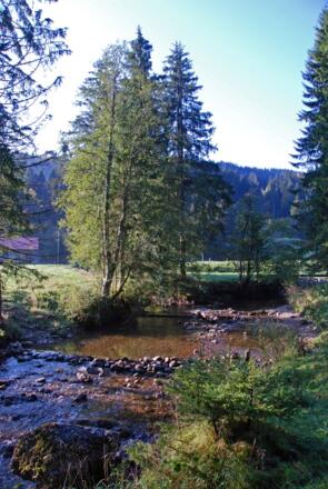 Im Aubachtal