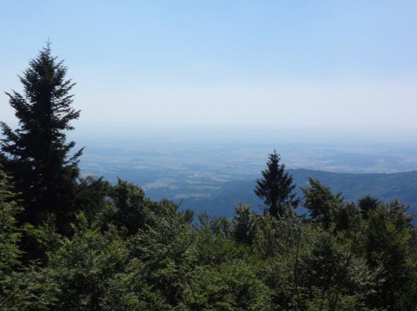 Blick vom Rauhen Kulm