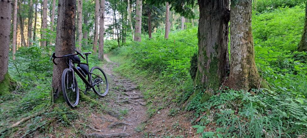 Der fahrtechnisch anspruchsvolle Salzsteig...