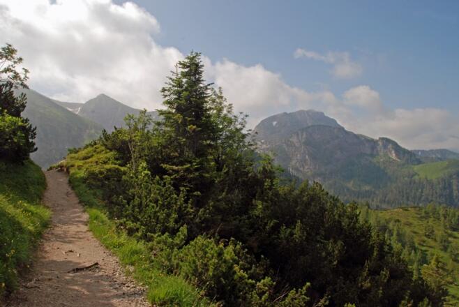 Auf dem Weg zum Torrener Joch