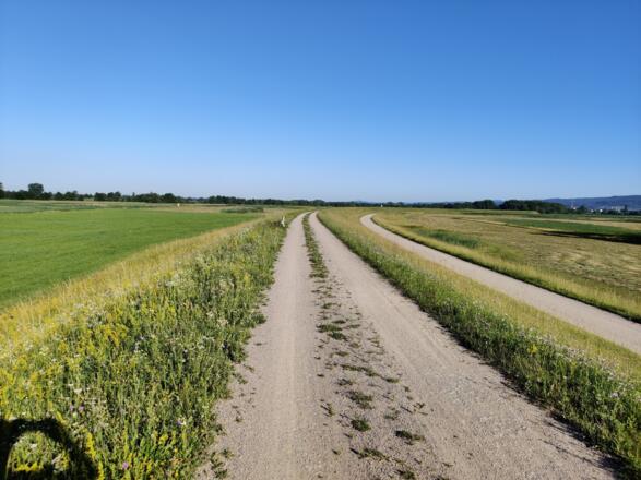 Auf dem Deich bei Weiher