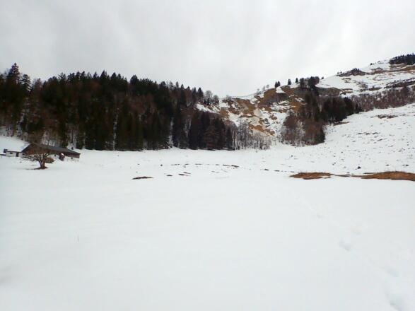 Nigelkaralm und Schlenken