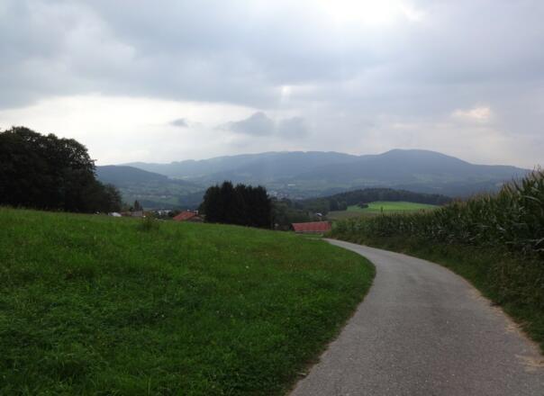 Blick in den Lallinger Winkel