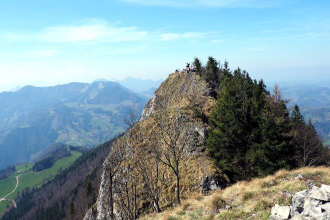 Schieferstein 1206m, gesehen von Osten